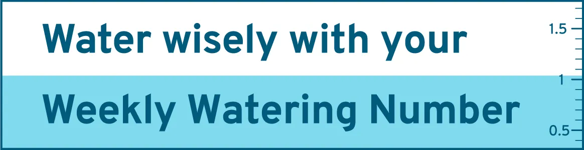 Water wisely with your Weekly Watering Number