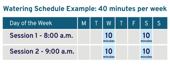 Watering schedule example: Session 1, 8:00am on Wednesday for 10 minutes and session 2: 9:00am on Wednesday. On Saturday, repeat this schedule: 10 minutes at 8:00am and 10 minutes at 9:00am.